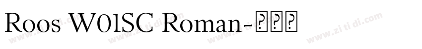 Roos W01SC Roman字体转换